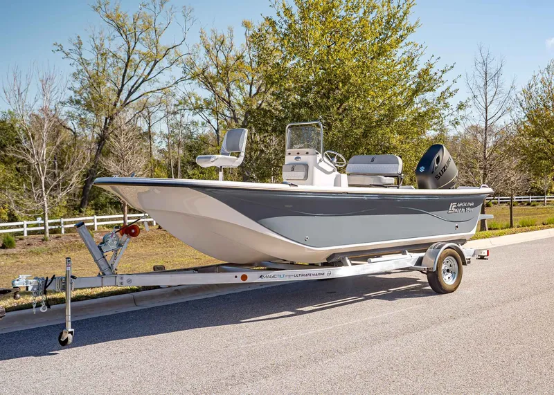 The Image of Carolina 19 LS 2026 - 1