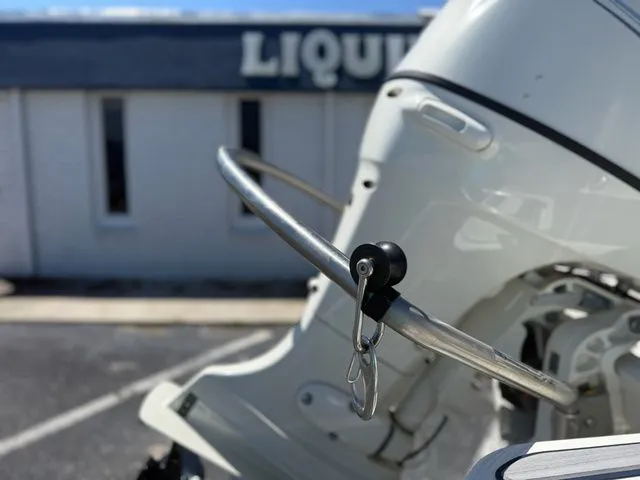 Slide: The Image of Stingray 191 DC 2021 - 10