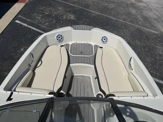 Slide: The Image of Stingray 191 DC 2021 - 5