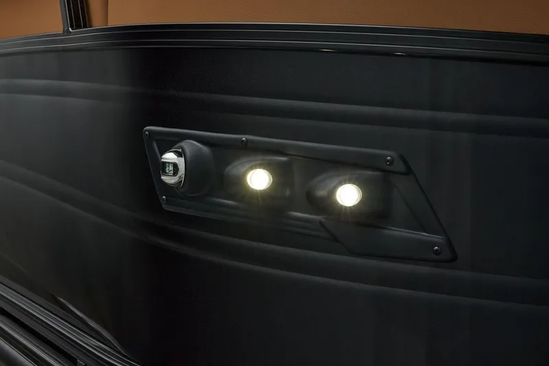 Slide: The Image of Regency 250 DL 2026 - 21