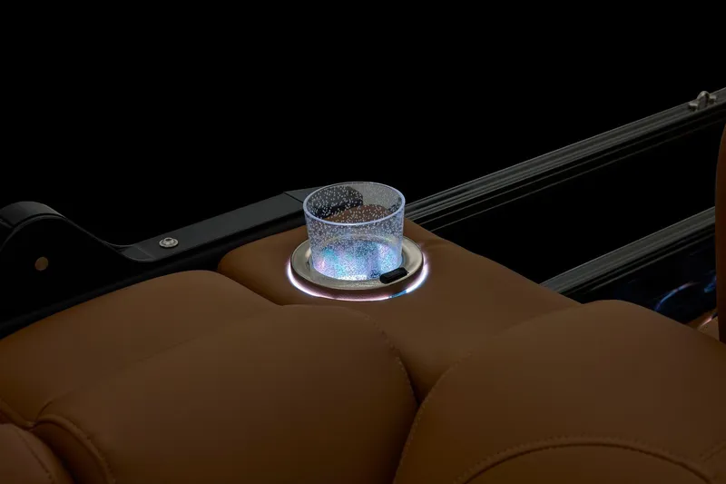 Slide: The Image of Regency 250 DL 2026 - 68