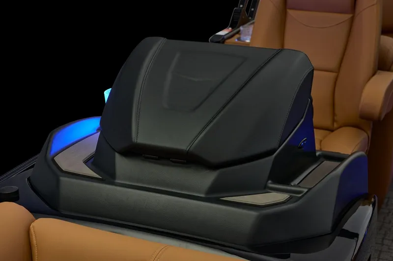 Slide: The Image of Regency 250 DL 2026 - 34