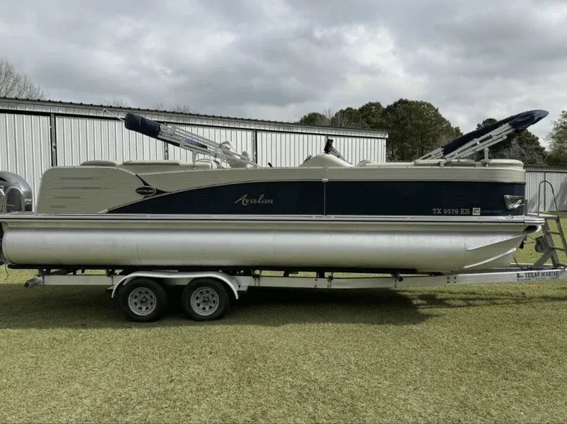 Slide: The Image of Avalon LSZ CR 2585 2019 - 13