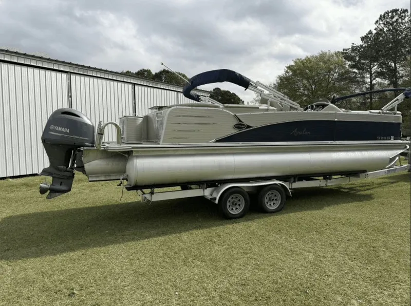 Slide: The Image of Avalon LSZ CR 2585 2019 - 14