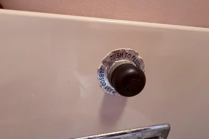 Slide: The Image of "Push to flush" button on Jabsco toilet , 1987 Sea Ray 340 Sedan Bridge boat. - 62
