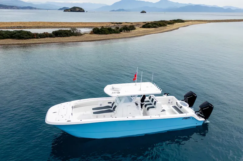 The Image of Invincible 33 Catamaran 2024 on calm waters near coastline. - 0