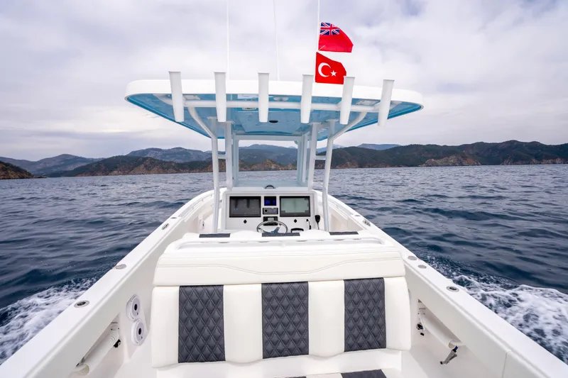 Slide: The Image of 2024 Invincible 33 Catamaran cruising on open water with scenic mountain backdrop. - 24