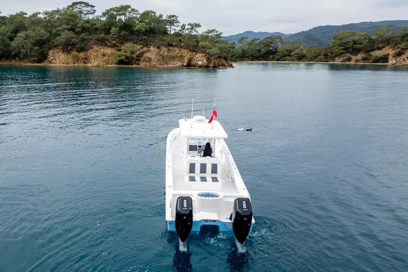 Slide: The Image of Invincible 33 Catamaran 2024 on calm waters near wooded coastline. - 6