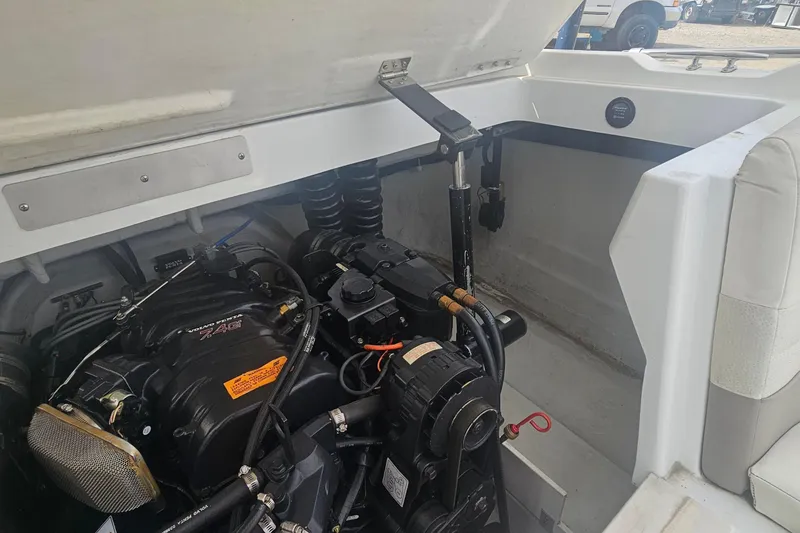 Slide: The Image of Cobalt 226 2000 - 19