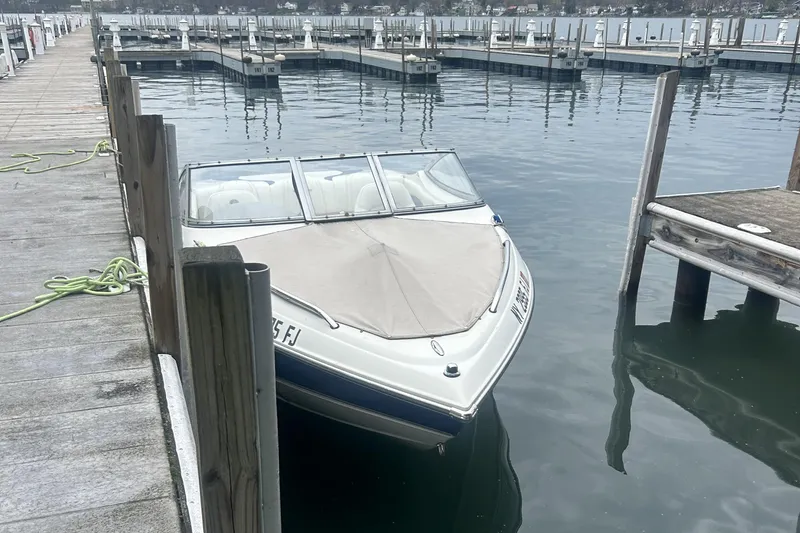 The Image of Stingray 185 LS/LX 2005 - undefined