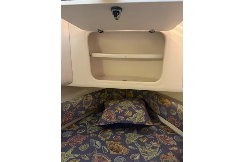 Slide: The Image of Interior cabin of 2002 Pro-Line 260 Walkaround with patterned bedding and storage compartment. - 53