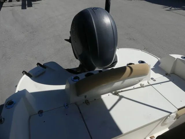 Slide: The Image of Stingray 206CC O/B 2017 - 21