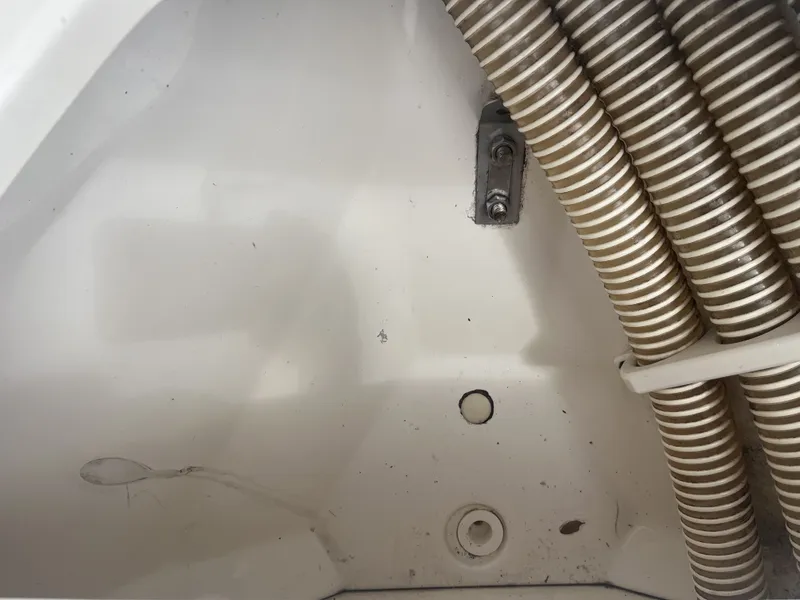 Slide: The Image of Mako cpx19 2016 - 17