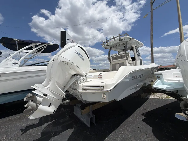 Slide: The Image of Solace 28 HCS 2026 - 18