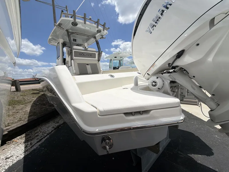 Slide: The Image of Solace 28 HCS 2026 - 5