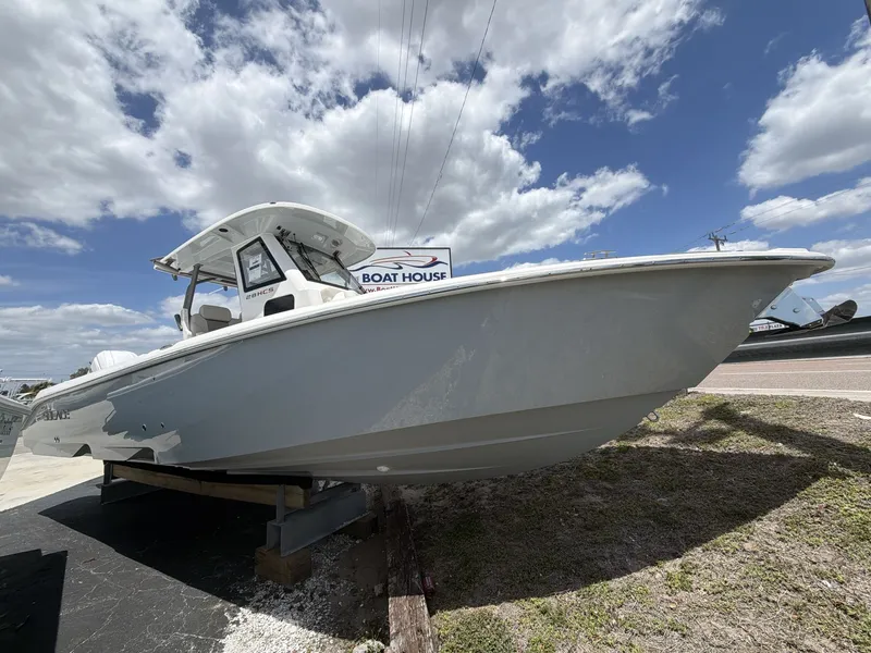 Slide: The Image of Solace 28 HCS 2026 - 9