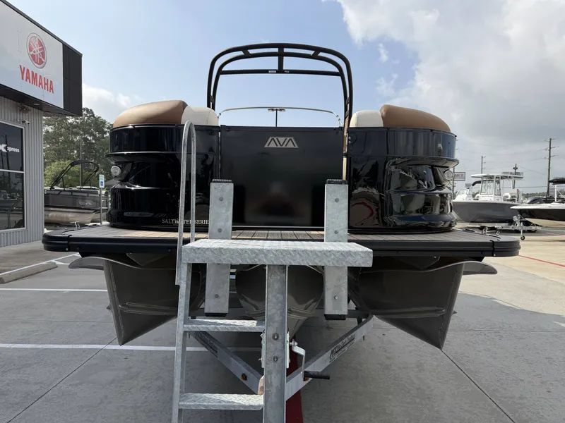 Slide: The Image of Avalon QLS25 EXCALIBUR 2026 - 5