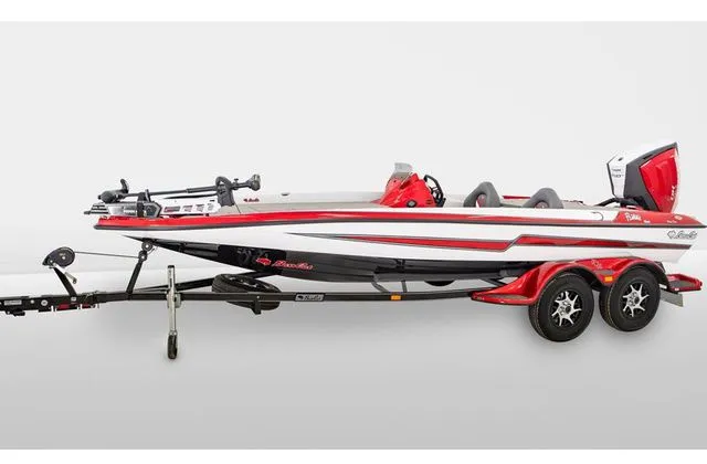 The Image of Bass Cat Pantera 2021 - 1