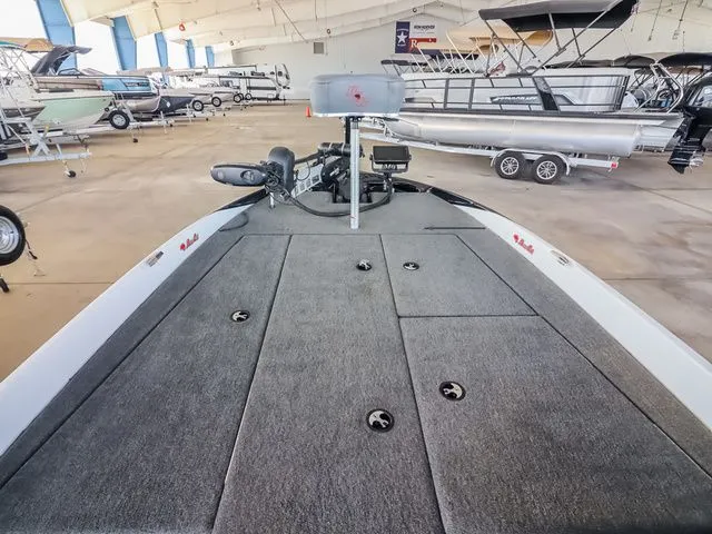 Slide: The Image of Bass Cat Pantera 2021 - 10