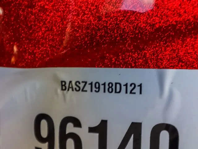 Slide: The Image of Bass Cat Pantera 2021 - 19