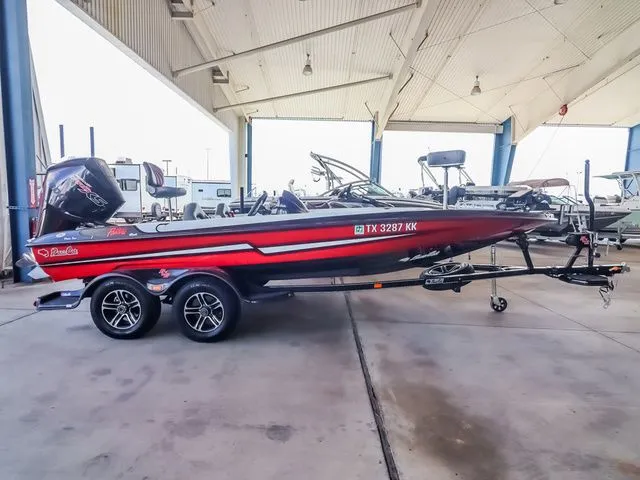 Slide: The Image of Bass Cat Pantera 2021 - 4