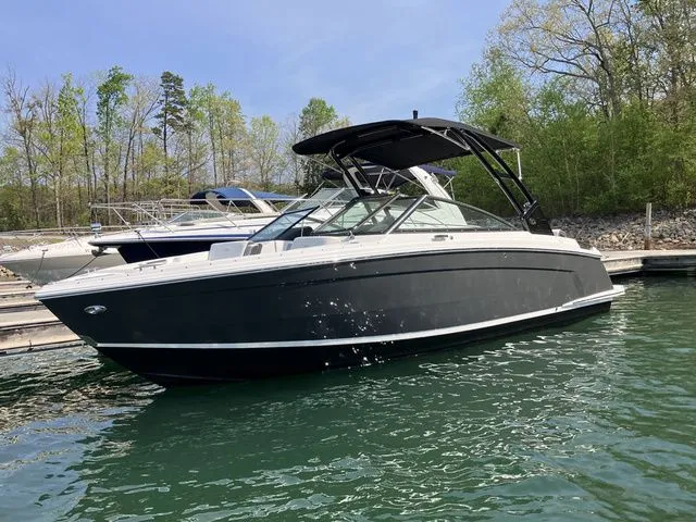 The Image of Cobalt R6 2023 - 1