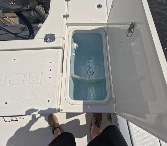 Slide: The Image of Robalo Cayman 246 2026 - 13