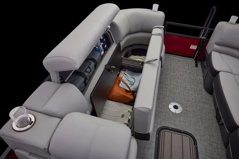 Slide: The Image of Regency 250 DL RF 2026 - 31