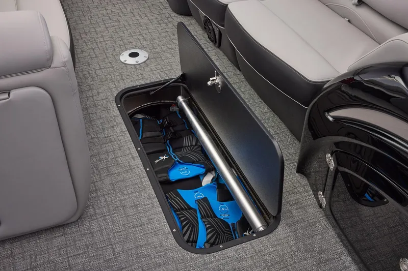 Slide: The Image of Regency 250 DL RF 2026 - 39