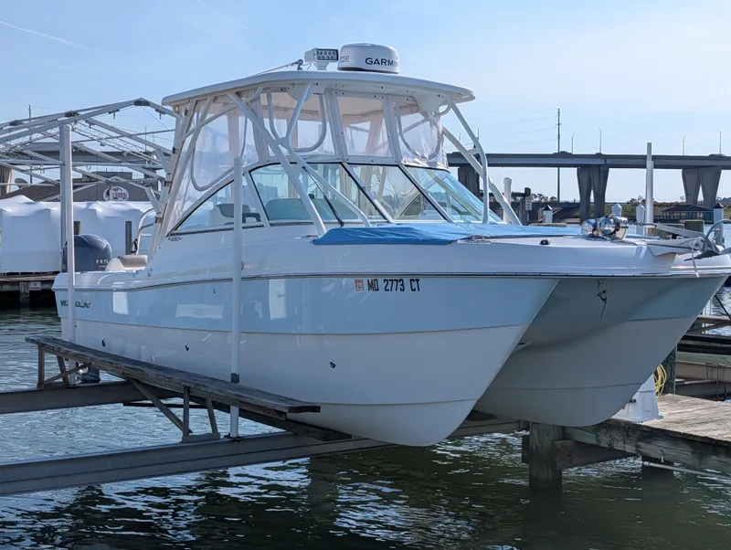 Slide: The Image of World Cat 230 EX 2020 - 1