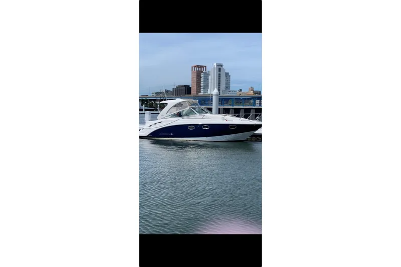 The Image of Chaparral 310 Signature 2013 boat docked in a marina with city skyline background. - 0