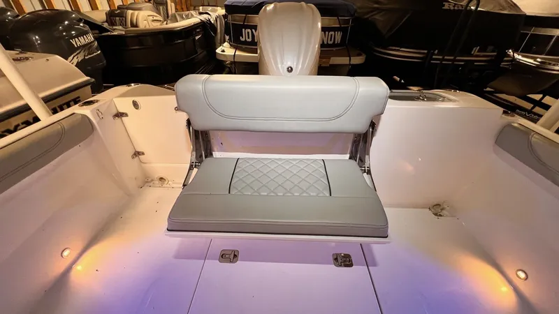 Slide: The Image of Pursuit 246DC 2022 - 26