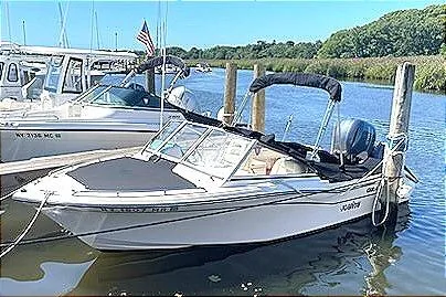 The Image of 2020 Grady-White Freedom 192 boat docked in a serene marina setting. - 0