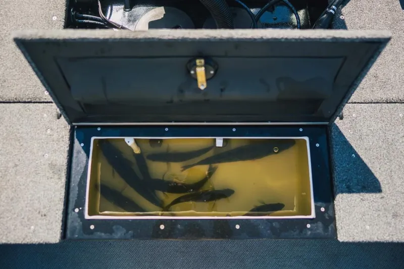 Slide: The Image of Livewell on KingFisher 1925 Arrow Sport boat, 2026 model, with fish inside. - 11