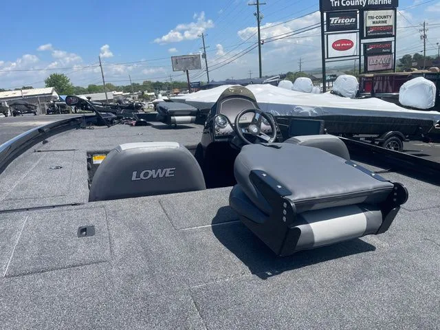 Slide: The Image of Lowe Stinger 178 2021 - 4