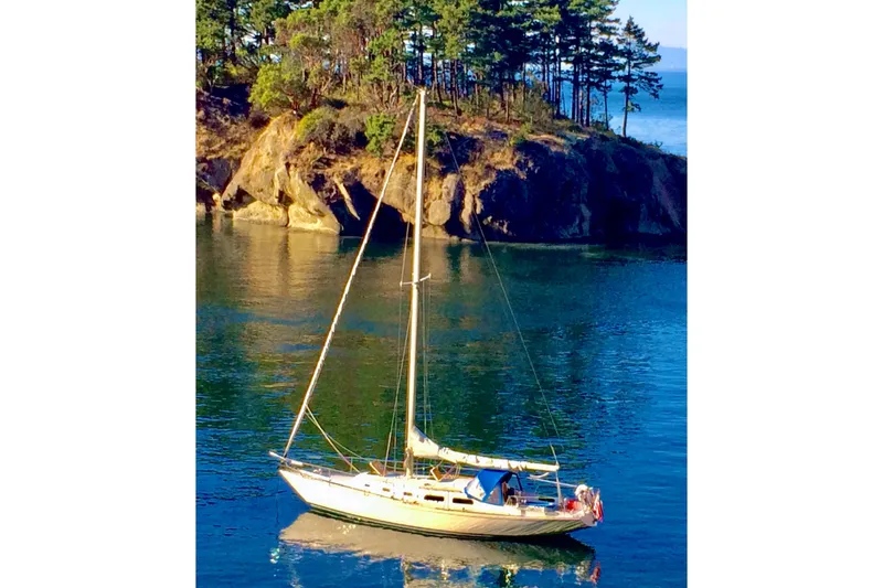 The Image of Vintage 1971 Pearson Competitor sailboat on serene water near rocky, tree-lined shore. - 1
