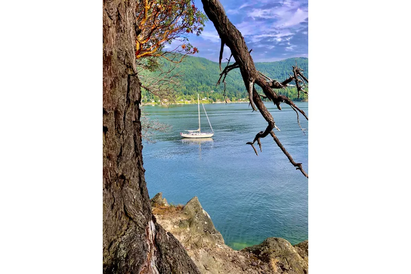 Slide: The Image of Sailboat on serene lake with tree foreground, Pearson Competitor 1971 model. - 16
