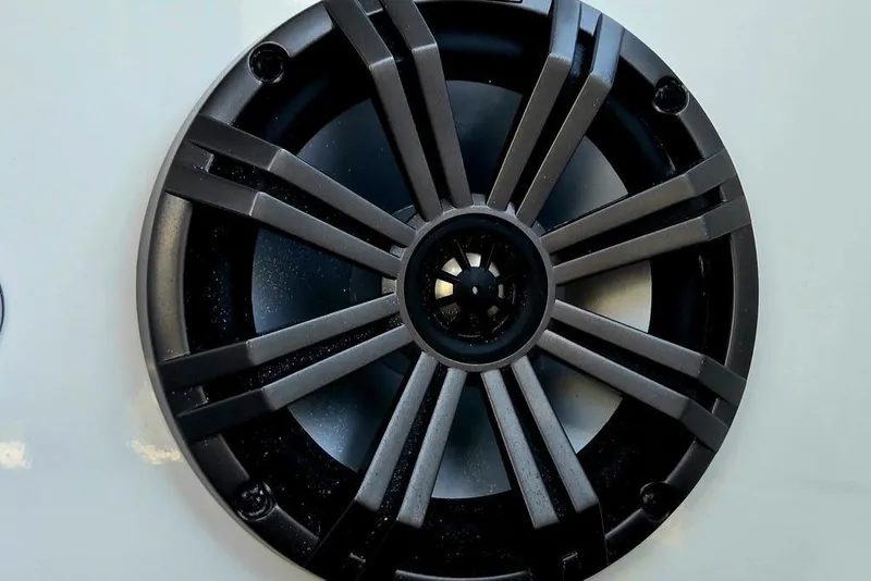 Slide: The Image of 2026 Tahoe T18 boat speaker with sleek black grille design. - 30