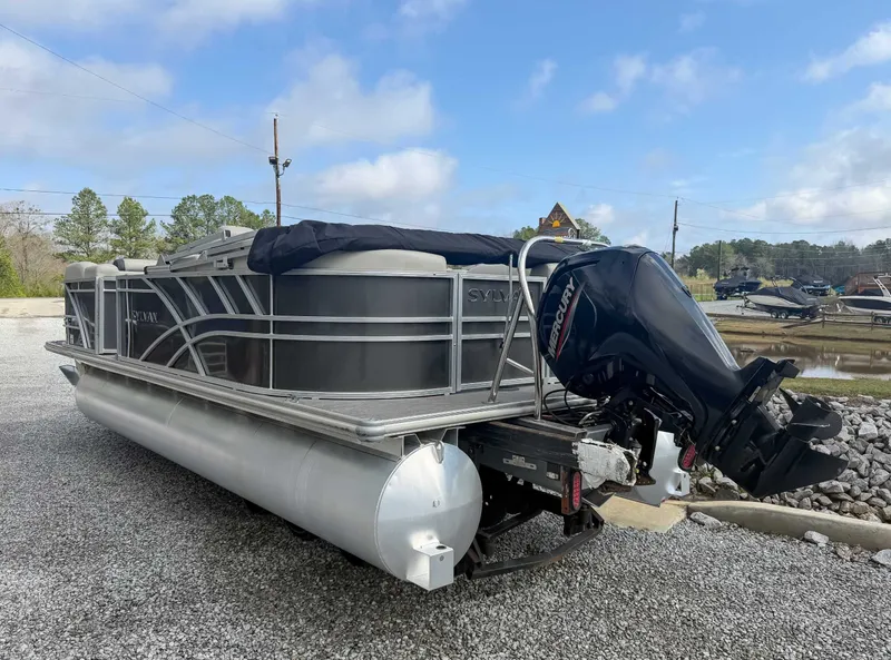 Slide: The Image of Sylvan Mirage 8522 LZ 2023 - 7