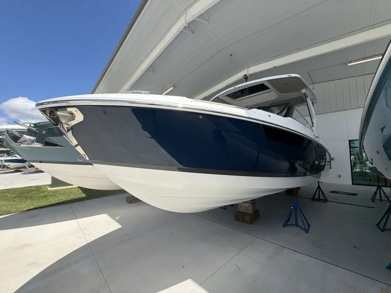 The Image of Cobalt R31 2026 - 1