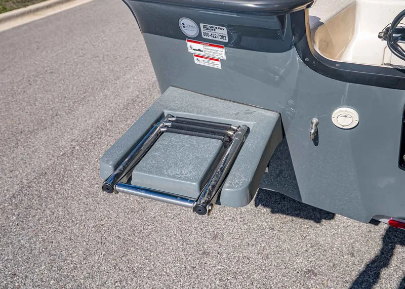 Slide: The Image of Carolina 21 LS 2026 - 5