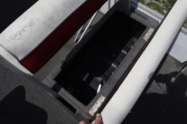 Slide: The Image of Godfrey Sweetwater SW 200 1993 - 6