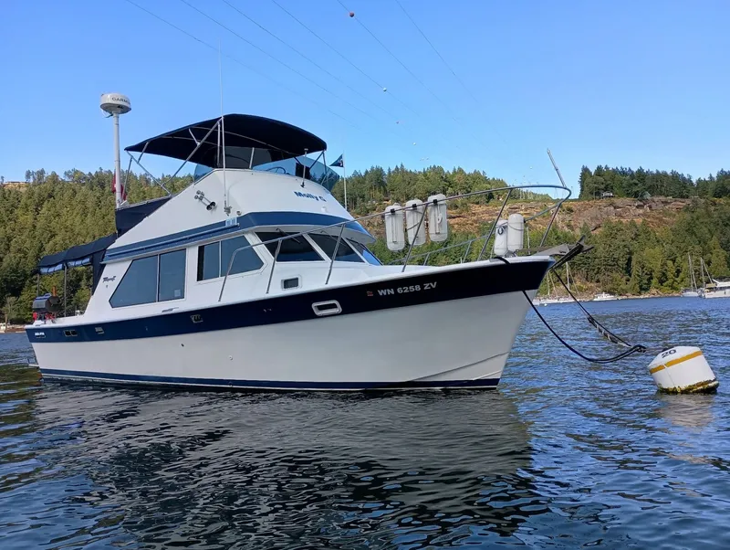 The Image of Tollycraft 34 Sedan 1971 - 0