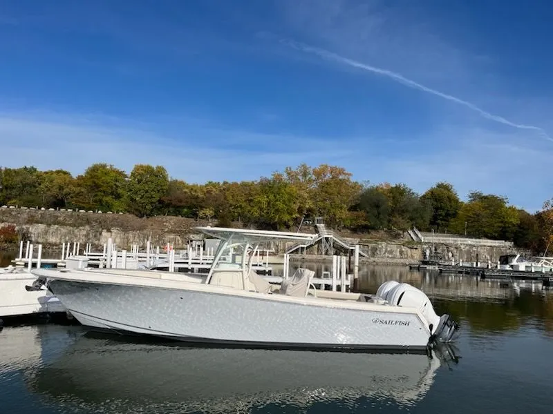 Slide: The Image of Sailfish 290 CC 2022 - 3