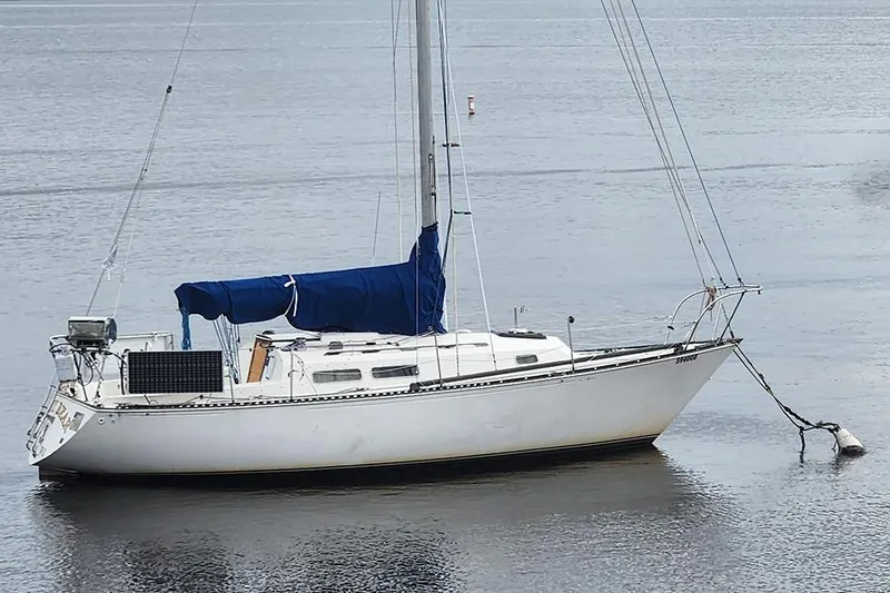 The Image of 1977 C&C 29 sailboat anchored on calm water with blue sail cover. - 1