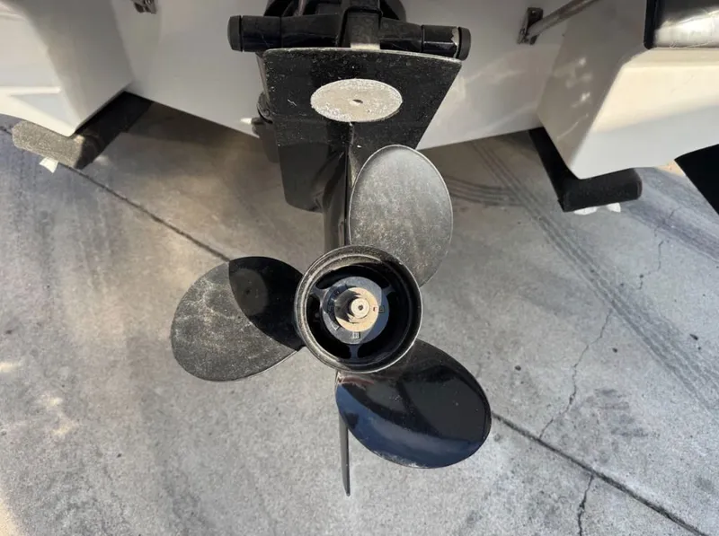 Slide: The Image of Monterey 224FS 2023 - 8