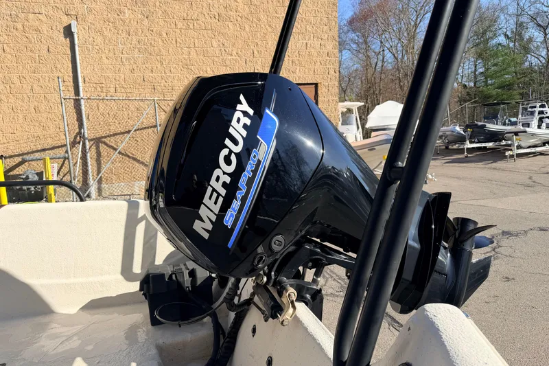 Slide: The Image of 2017 Carolina Skiff 258 DLV with Mercury SeaPro outboard motor in a boatyard. - 11