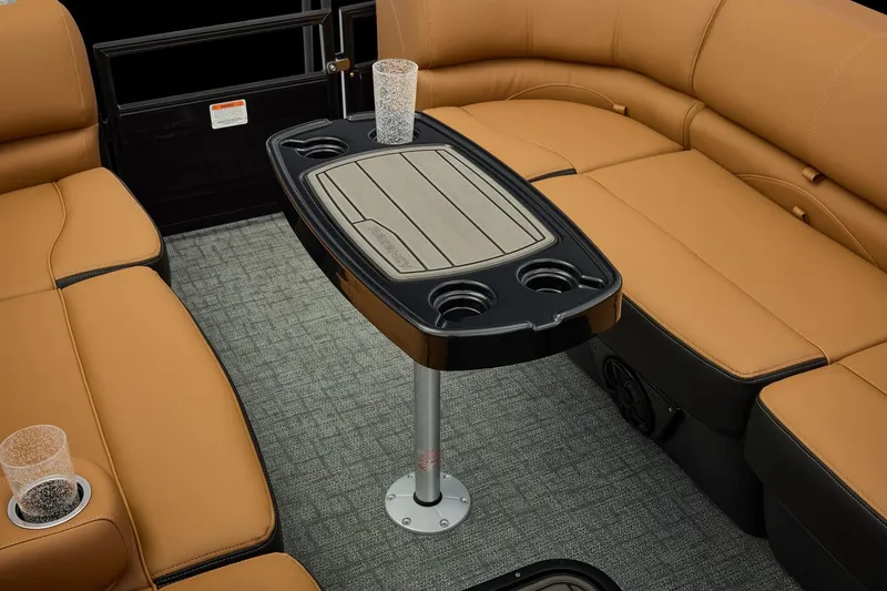 Slide: The Image of Regency 250 DL 2026 - 29