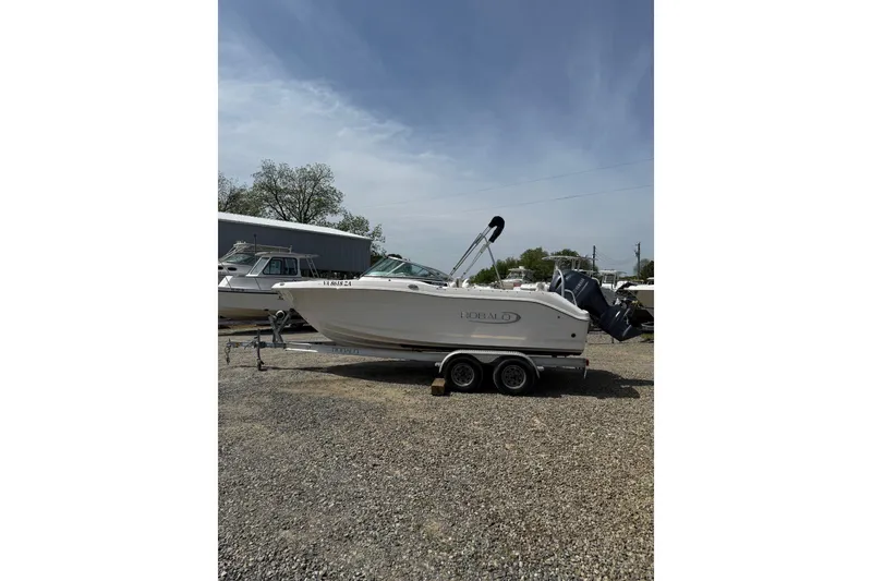 The Image of 2019 Robalo R207 Dual Console boat on trailer, parked outdoors under clear sky. - 0