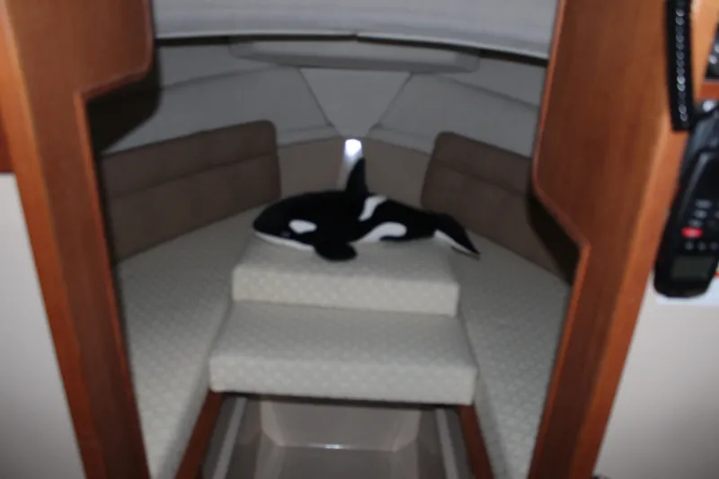 Slide: The Image of Cozy cabin interior of 2011 Ranger Tugs R-27 with plush seating and orca plush toy. - 27